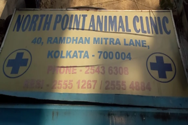 North Point Animal Clinic