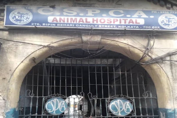 C S P C A - Animal Hospital