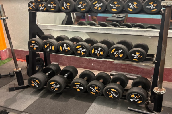 NestFit Gym