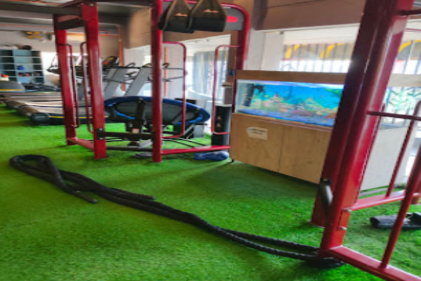 powerhouse gymnasium