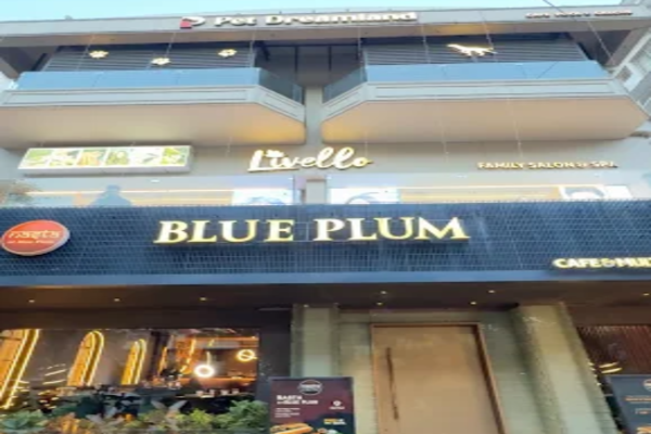 Blue Plum Multi-Cuisine Restaurant
