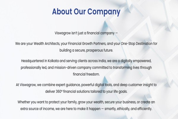 Viswagrow Financial Serviced