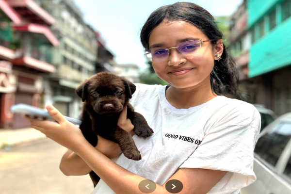 Puppy Center