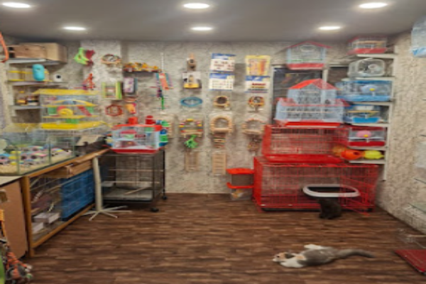Tales of Joy Pet Shop