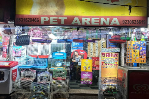Pet Arena