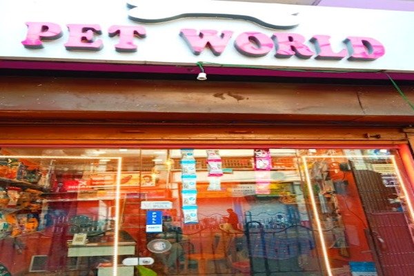 Pet World Pet Store and Daycare