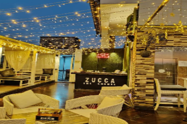Zucca the lounge