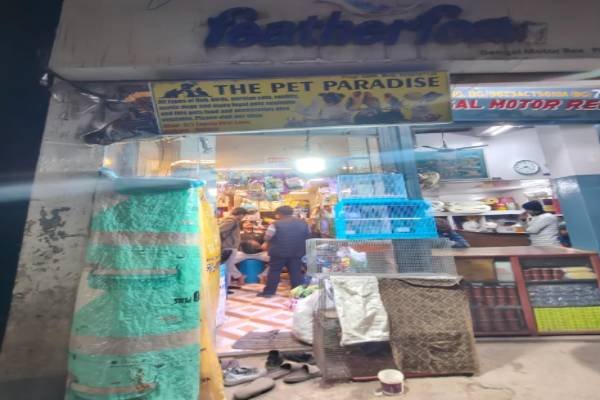 Pet & Animal