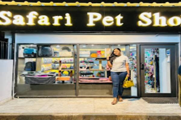 Pet & Animal