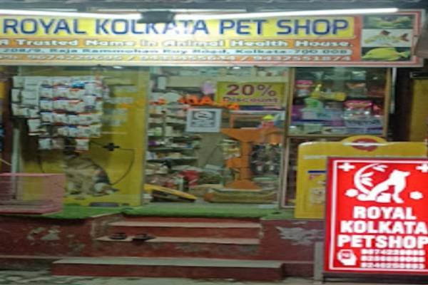Pet & Animal