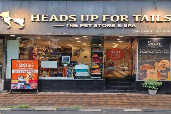 Pet & Animal