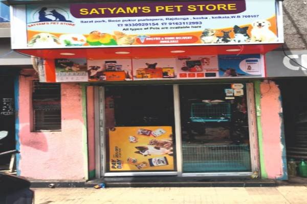 Pet & Animal