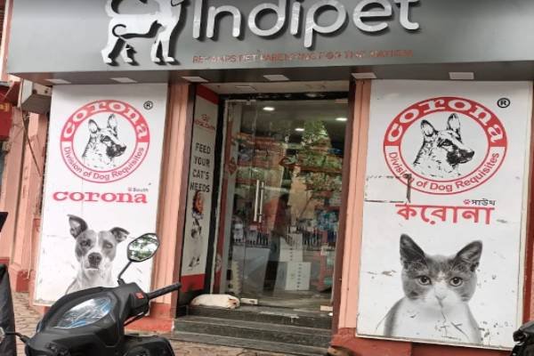 Pet & Animal